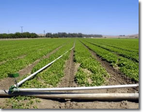 Alsco Geyer Irrigation, Inc. - Drip Irrigation